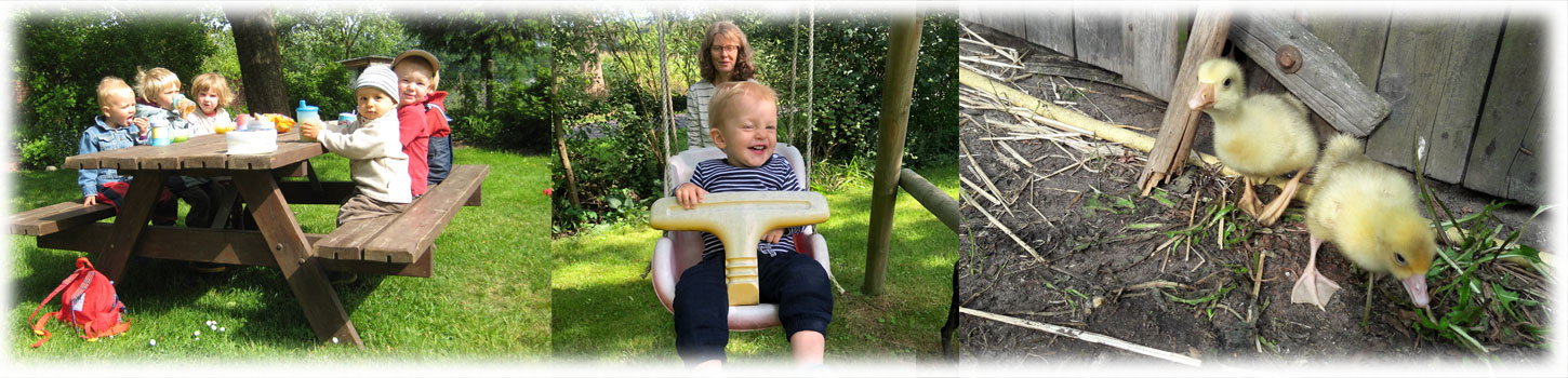 Barmbrucher Kindernest - Kinderbetreuung / Tagesmutter auf dem Bauernhof - Über uns